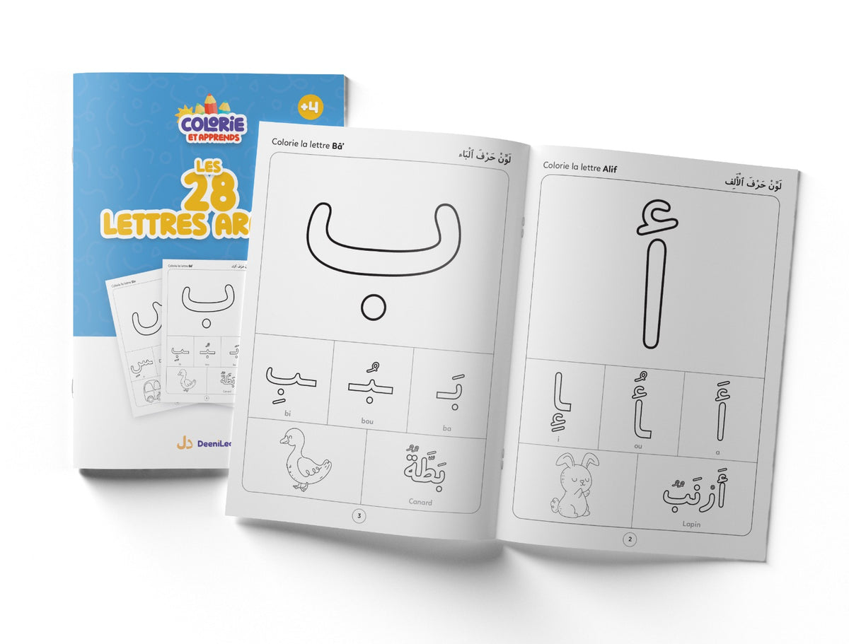 LES 28 LETTRES ARABES - DeeniLearn